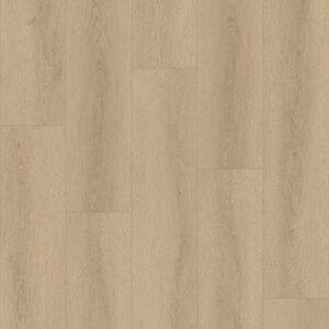 nc9706spc-7-seashell-whisper