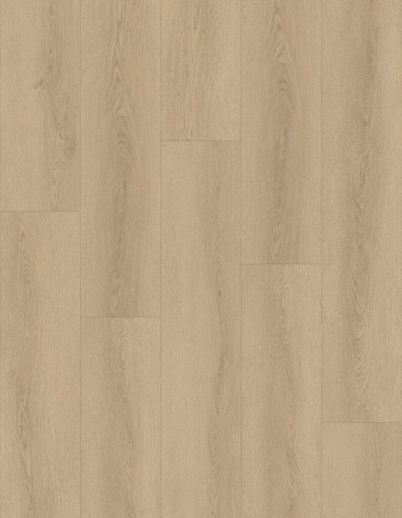 nc9706spc-7-seashell-whisper