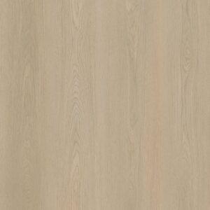 NC4954SPC-Dreamscape