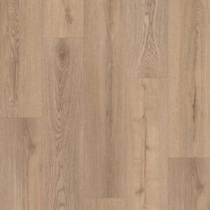 NC2304SPCTX - Solentra