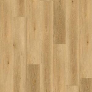 NC2305SPCTX - Restora