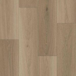 NC2308SPCTX - Kindrel