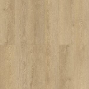 NC7120SPC - TRIBECA